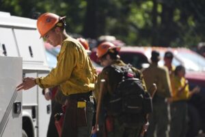 Idaho Firefighters Shot in Ambush
